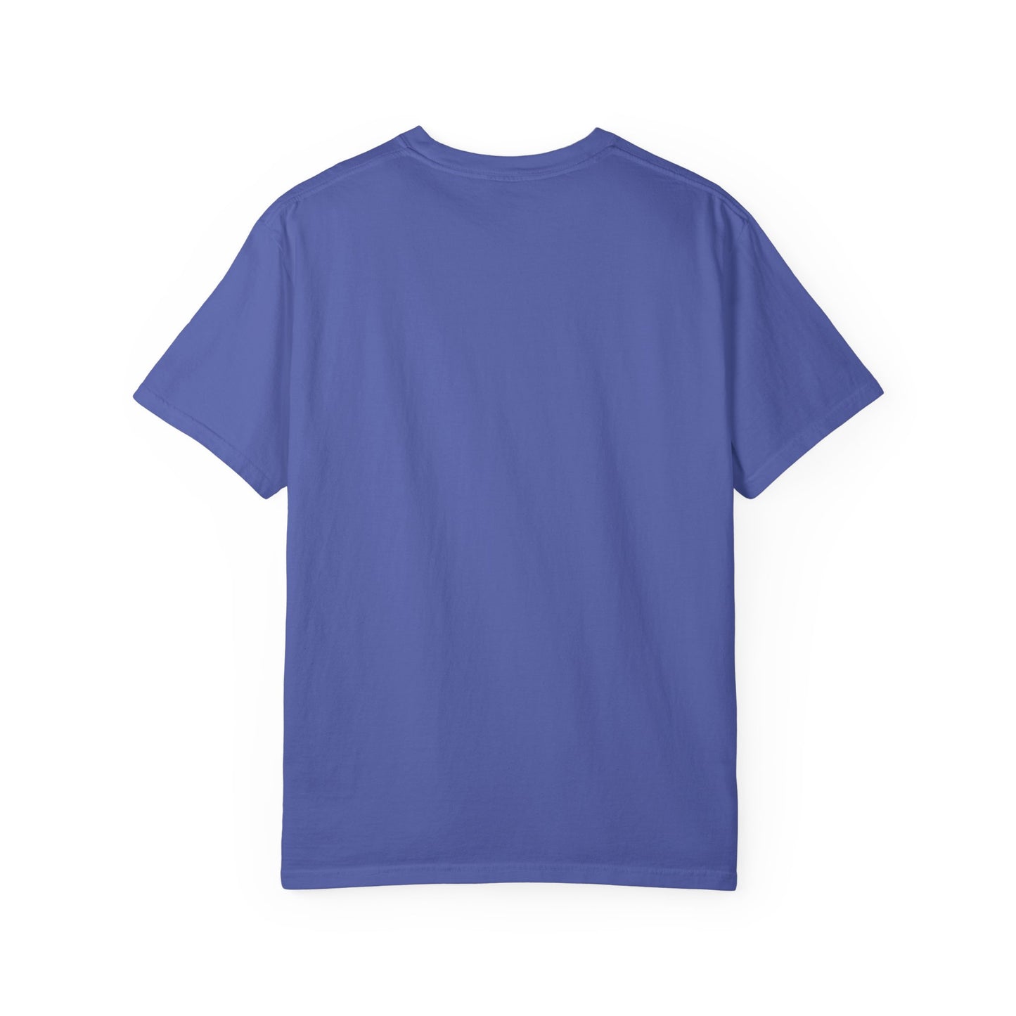 You Future is Queer T-shirt.