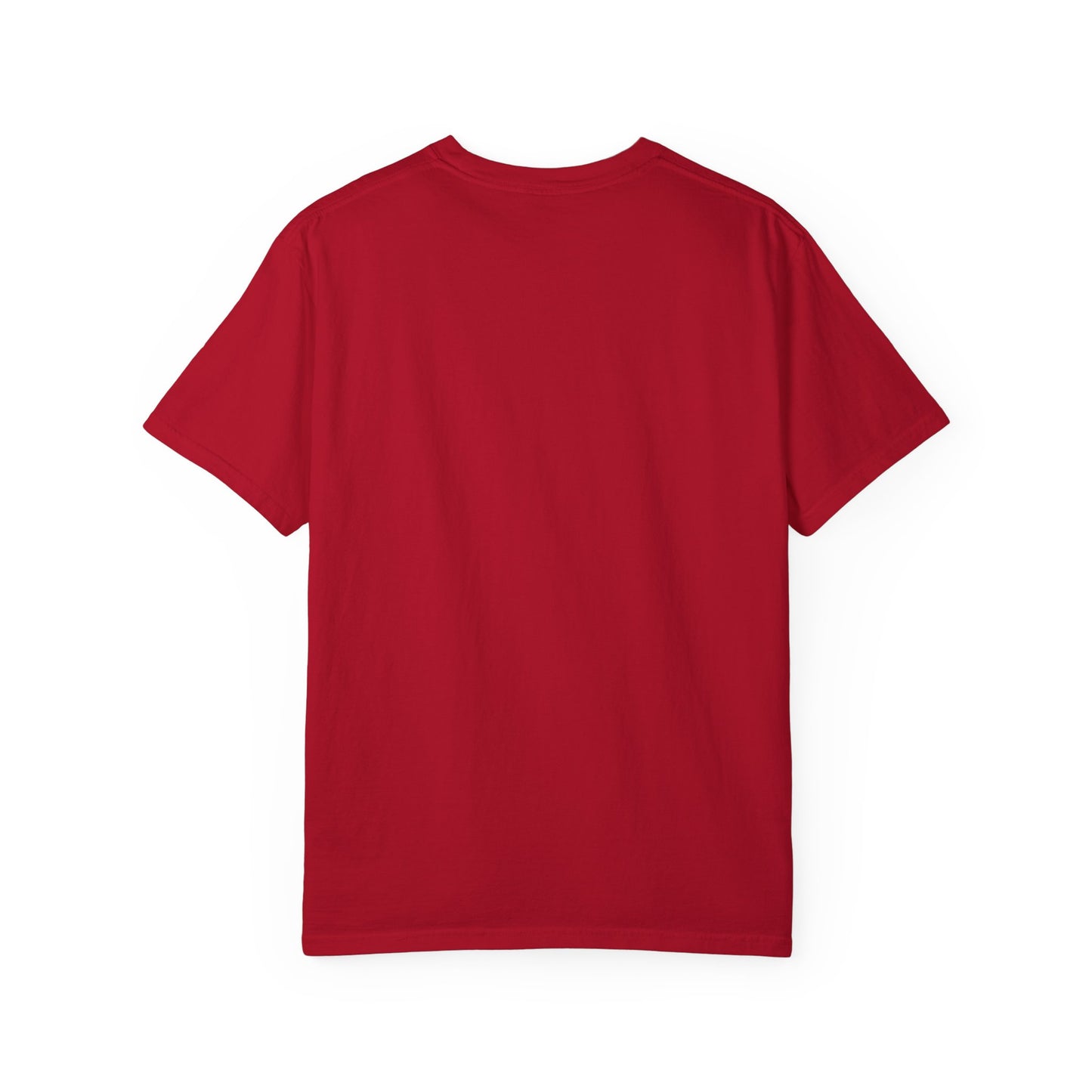 Certified Clown T-shirt. Raccoon.