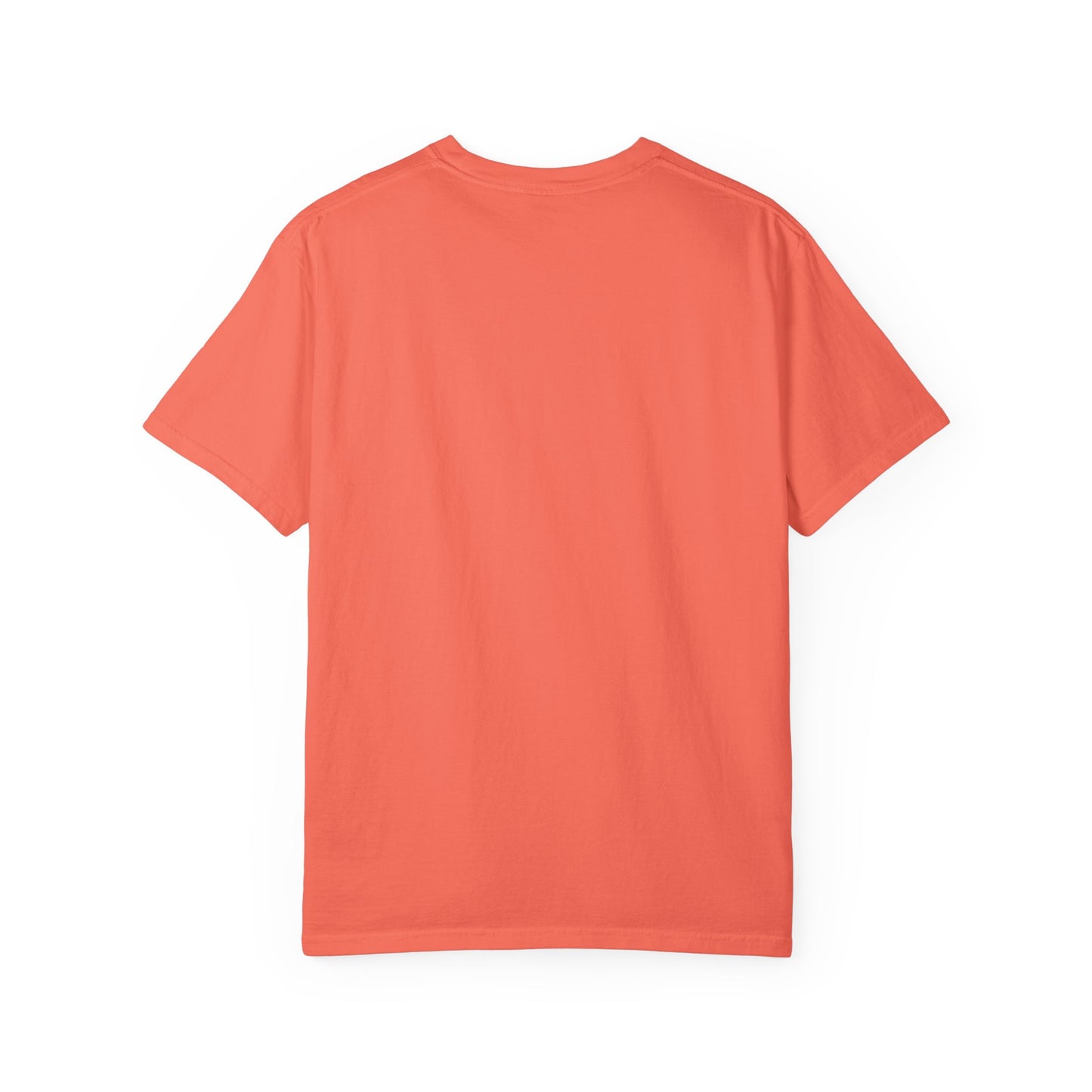 You Future is Queer T-shirt.