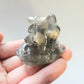 Skull Dinocat Mini Figure. Handmade.